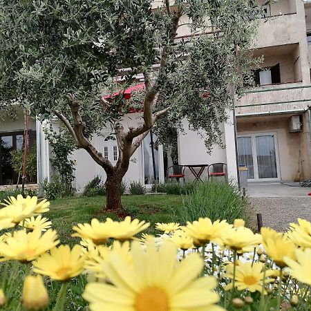 Leona Apartment Vidikovac, بولا المظهر الخارجي الصورة