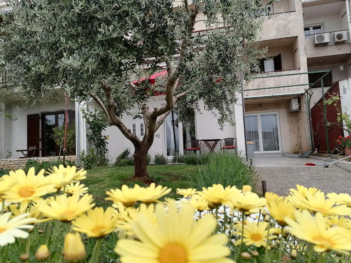 Leona Apartment Vidikovac, بولا المظهر الخارجي الصورة