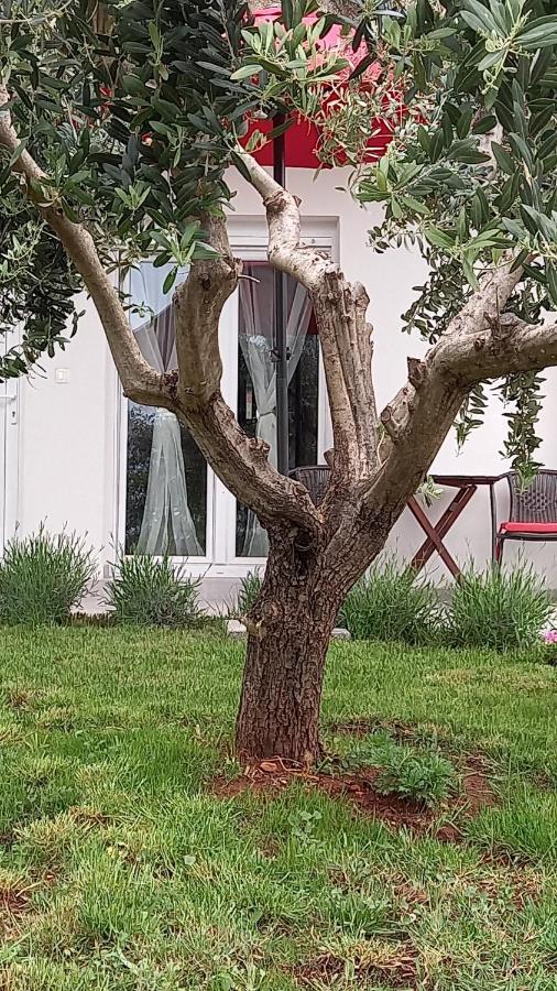 Leona Apartment Vidikovac, بولا المظهر الخارجي الصورة