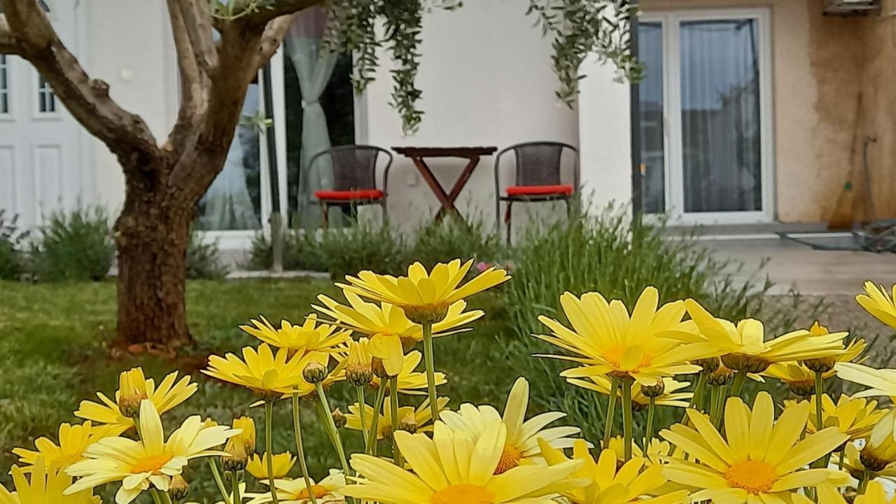 Leona Apartment Vidikovac, بولا المظهر الخارجي الصورة